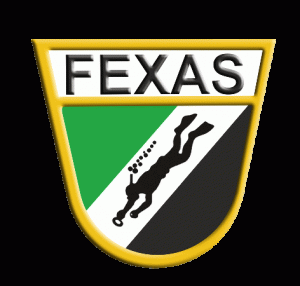 FEXAS logo