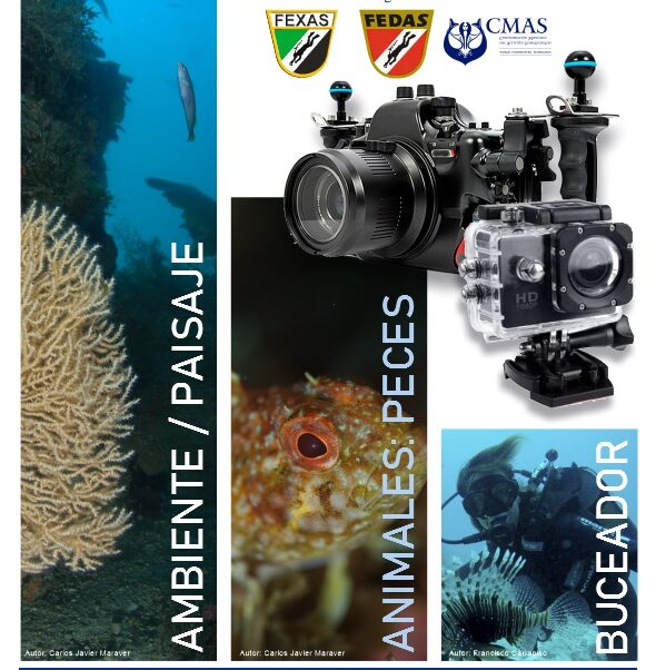 Cartel Campeonato Fotosub