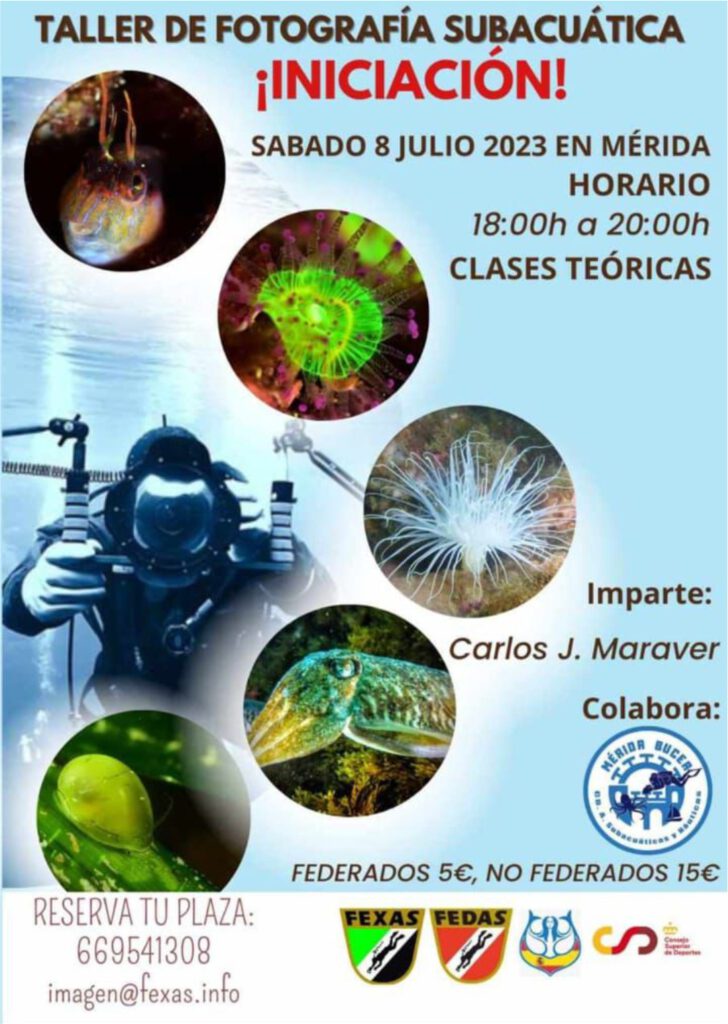 Cartel Curso Fotografía subacuática. Mérida, julio 2023